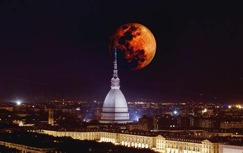 luna rossa italia.